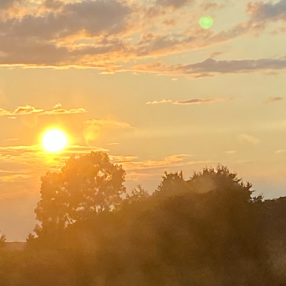 Meet your Posher, Grace - Picture 1 of 1